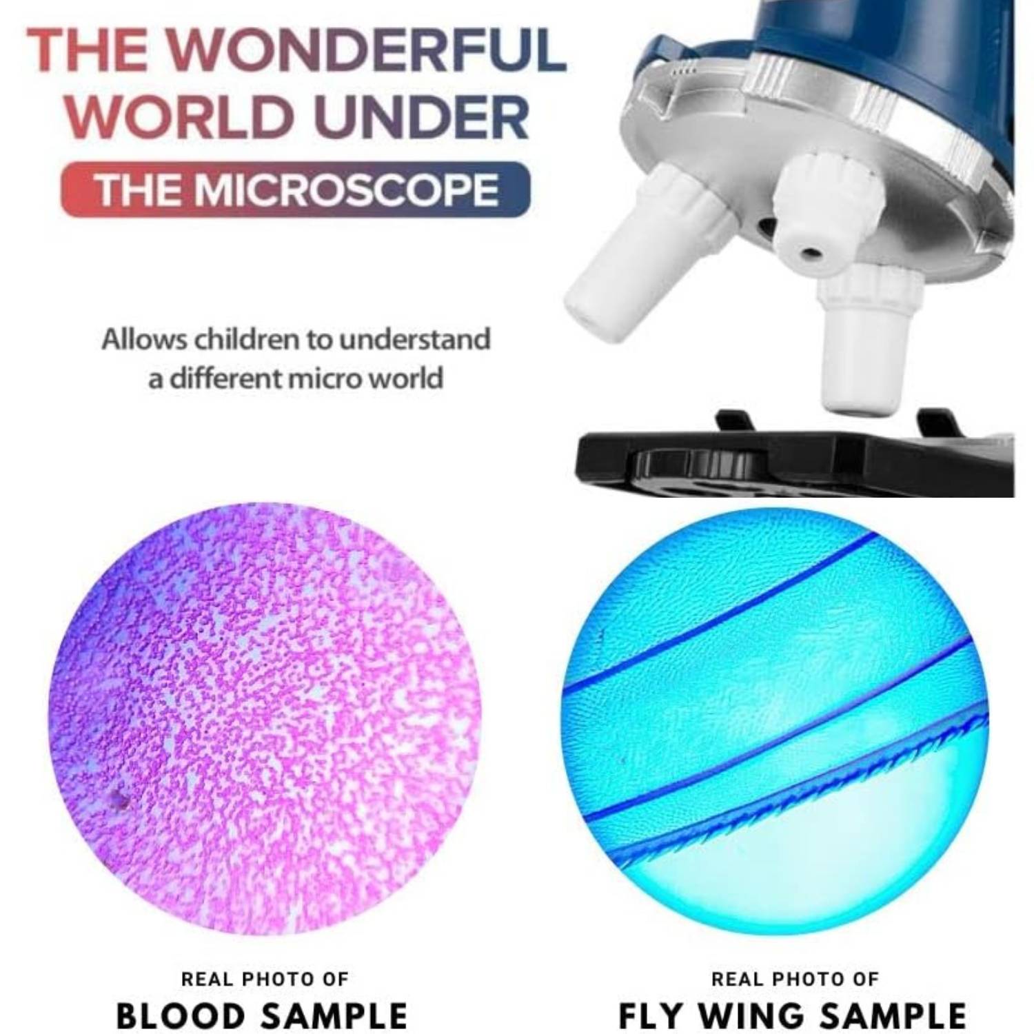 Kids Microscope Kit: image 7